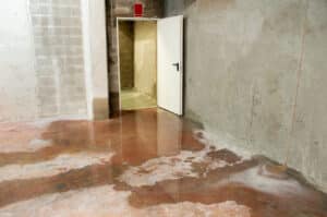 Spring Thaw and Basement Flooding: How to Protect Your Property
