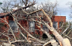 Spring Storm Season: Preparing Your Home for Heavy Rains & High Winds