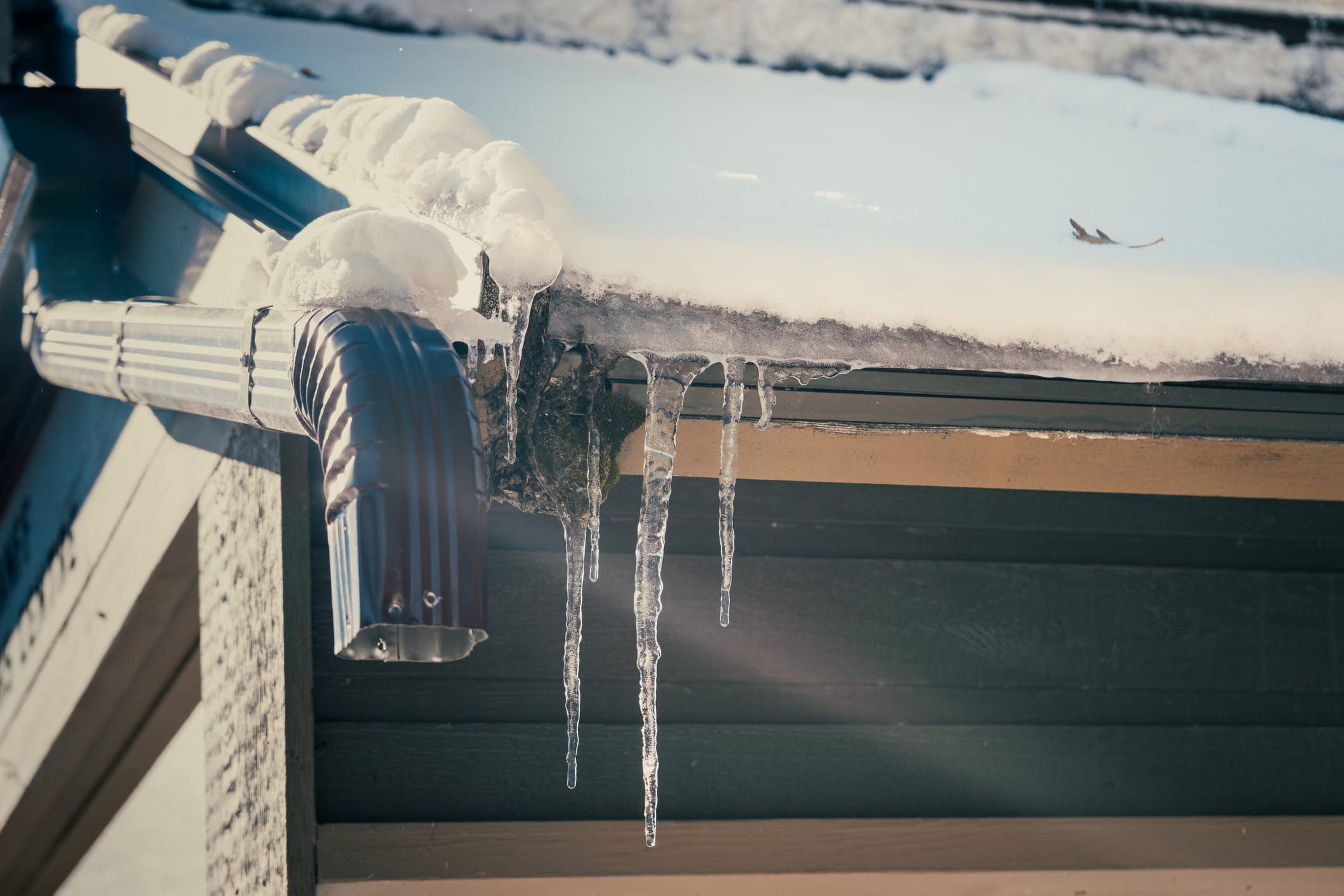 False Spring in West Michigan: Why Early Thaws Cause Serious Water and Mold Damage
